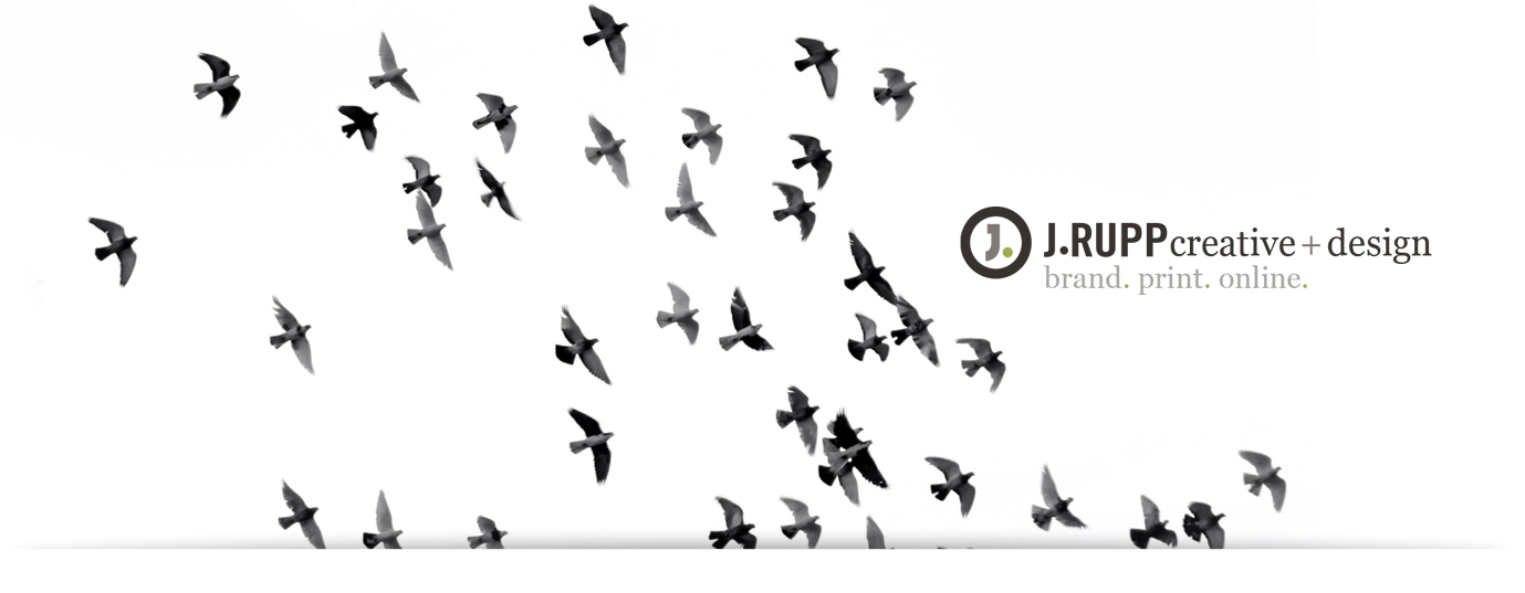 Image of birds flying across logo.
